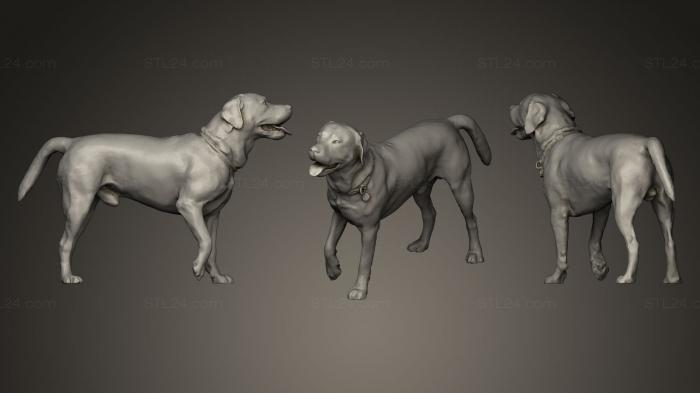 Статуэтки животных (СОБАКА А44, STKJ_0229) 3D модель для ЧПУ станка